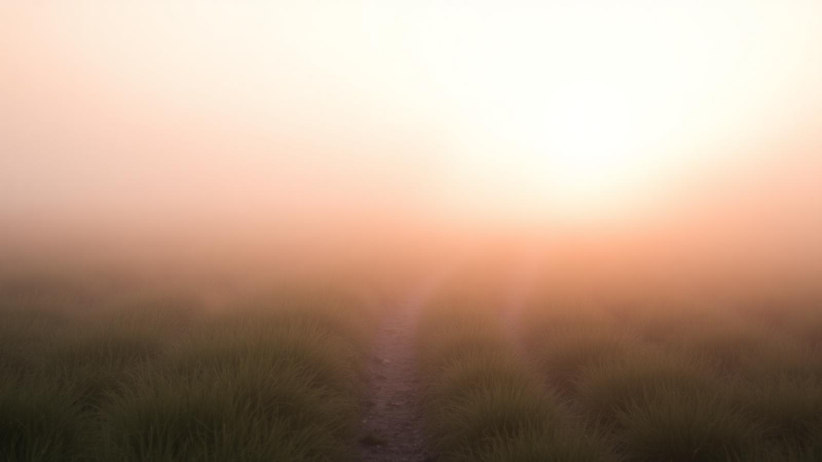 My Diagnosis Became My Purpose